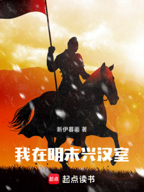 我在明末兴汉室在线阅读