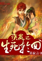 侠岚之生死轮回在线阅读