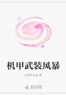 機甲武裝風暴