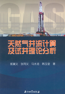 天然氣井流計算及試井理論分析