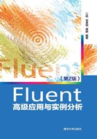 Fluent高级应用与实例分析（第2版）