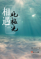 相遇北極光在線閱讀
