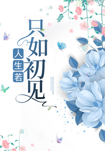 人生若只如初見