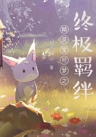 精靈寶可夢之終極羈絆在線閱讀