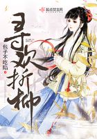 寻欢折柳