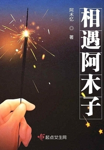 相遇阿木子