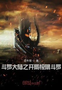 斗羅大陸之開局極限斗羅