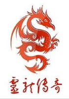 灵龙传奇