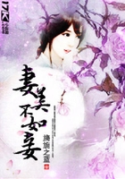 妻美不如妾在线阅读