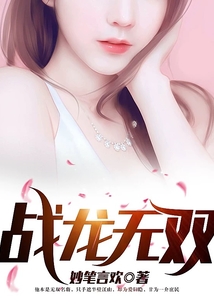 戰龍無雙