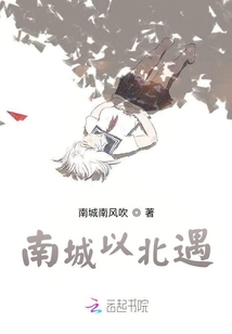 南城以北遇