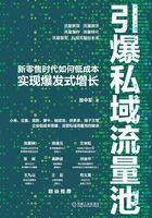 引爆私域流量池：新零售时代如何低成本实现爆发式增长在线阅读