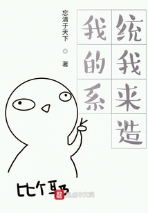 我的系統我來造