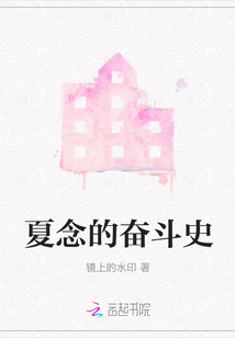 夏念的奮斗史