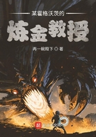 某霍格沃茨的炼金教授在线阅读