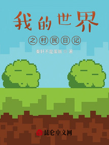 我的世界之村民日記