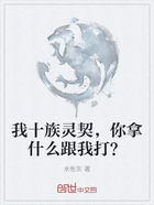 我十族灵契，你拿什么跟我打？在线阅读