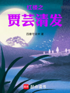 红楼之贾芸清发在线阅读
