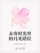 未寄时光里的月光错位在线阅读