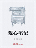 观心笔记在线阅读