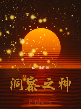 洞察之神在线阅读