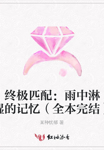 终极匹配:雨中淋湿的记忆(全本完结)