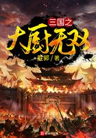 三国之大厨无双