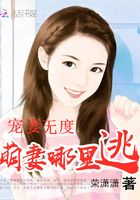 寵妻無度：萌妻哪里逃在線閱讀