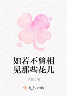 如若不曾相見那些花兒