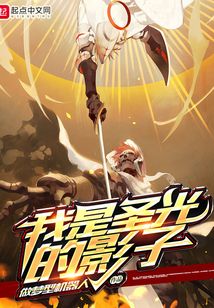我是圣光的影子