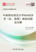 2020年中南财经政法大学806经济学（宏、微观）模拟试题及详解