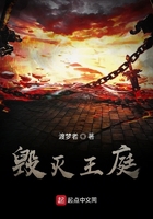 毀滅王庭在線閱讀