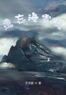 遺忘海雪島