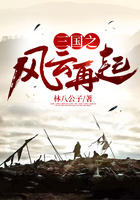 三国之风云再起