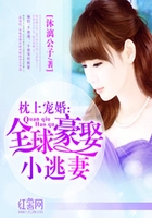 枕上宠婚:全球豪娶小逃妻在线阅读