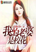 我的老婆是校花在线阅读