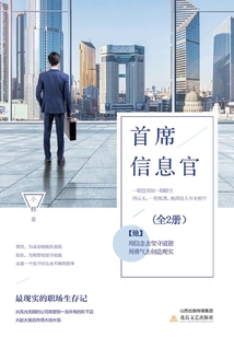 首席信息官(全集)