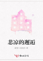 悲凉的邂逅在线阅读