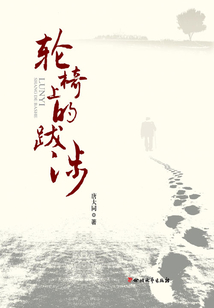 輪椅上的跋涉