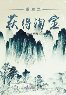 重生之獲得淘寶