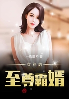 女神的至尊霸婿在線閱讀