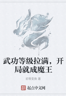 武功等級拉滿,開局就成魔王