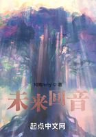 未来回音