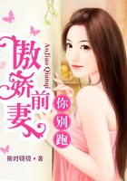 傲嬌前妻你別跑在線閱讀