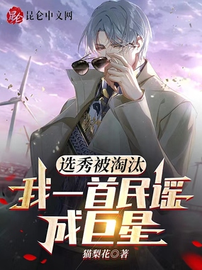 选秀被淘汰，我一首民谣成巨星在线阅读