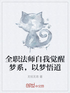 全职法师自我觉醒梦系，以梦悟道