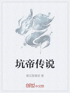 坑帝传说在线阅读