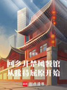 回乡开楚风餐馆,从接待屈原开始在线阅读