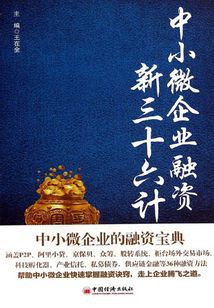 中小微企業(yè)融資新三十六計
