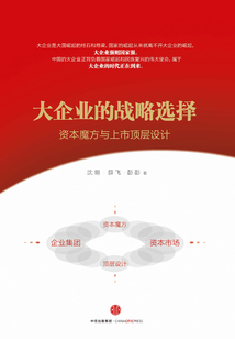 大企業的戰略選擇:資本魔方與上市頂層設計